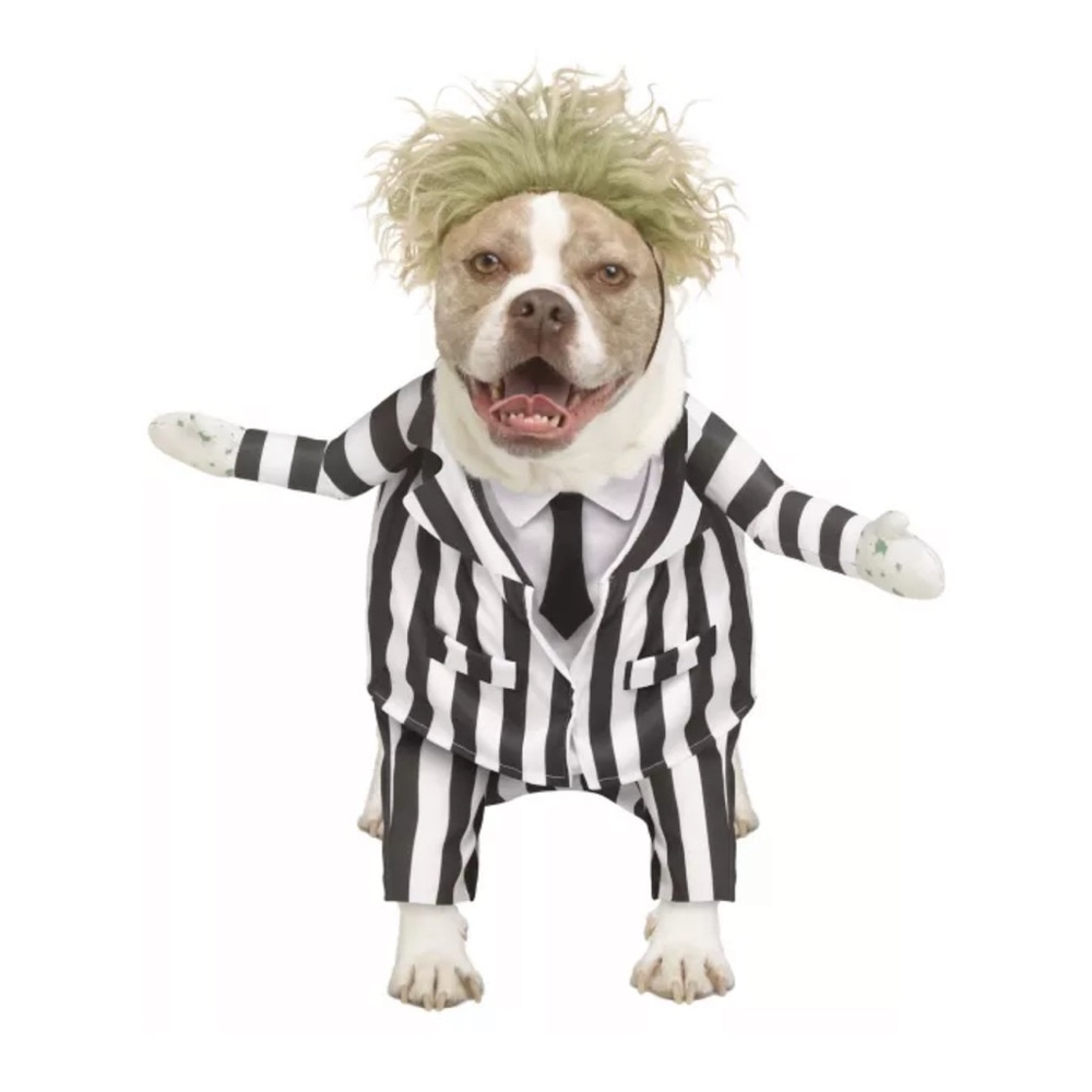 Spirit Black and White Striped Dog Suit